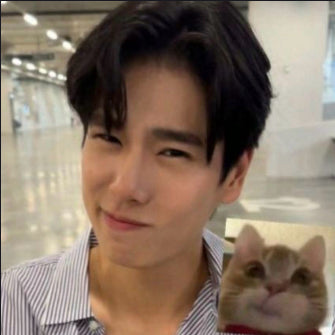 一只猫猫头-PP收单